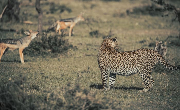 BK8I0947 - GALLERY.jpg